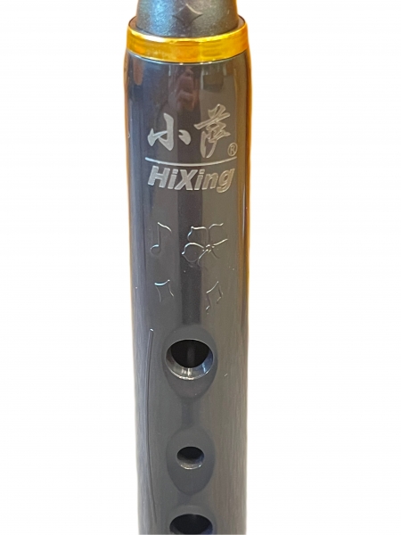 Ammoon Mini Pocket C Saxophone